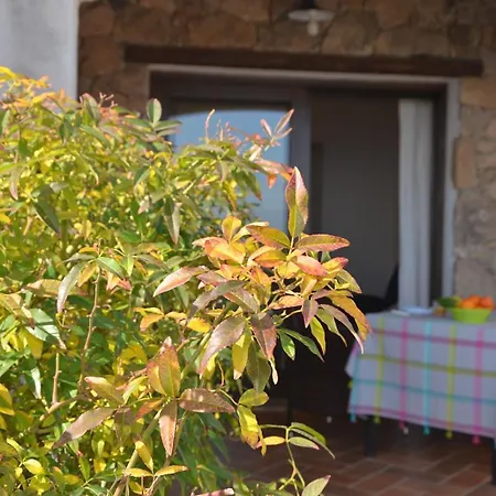 Appartamento Mandorlo 1